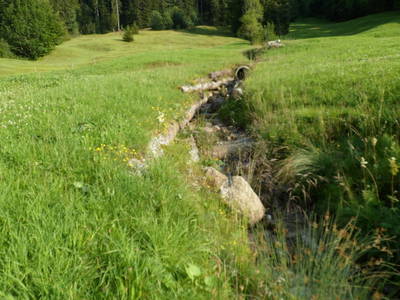Bild 24 aus  Berghof Vöglerbrand