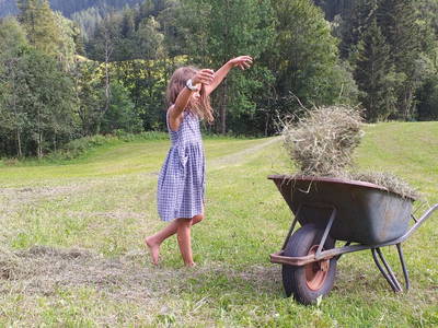 Bild 82 aus  Sturm-Archehof