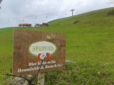 Bild 58 aus  Reitlhof am Sonnenhang   Bio-Bergbauernhof bei Salzburg 