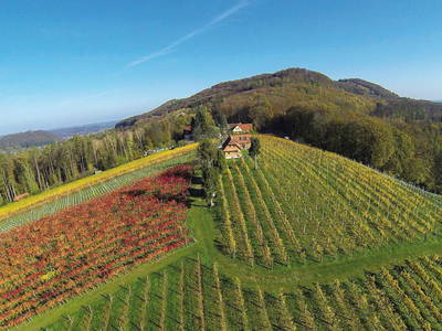 Bild 2 aus  Winzerhof & Buschenschank BOCKMOAR