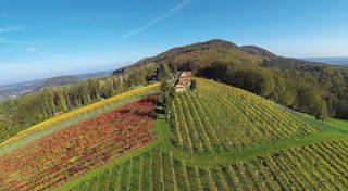 Winzerhof & Buschenschank BOCKMOAR aus Allerheiligen bei Wildon