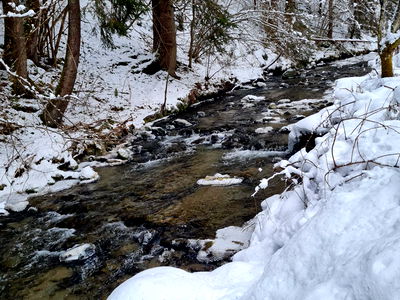 Bild 18 aus Chalet am Bach