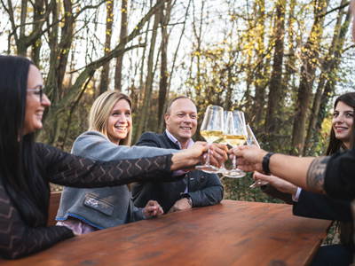 Bild 184 aus  Winzerhof Küssler, Weinviertel