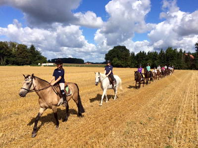 Bild 17 aus  Ponyhof Georgenbruch - Gutshof mit Ferienwohnungen, Pensionsstall und Reitschule