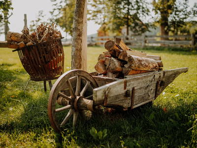 Bild 8 aus  Rittergut Positz