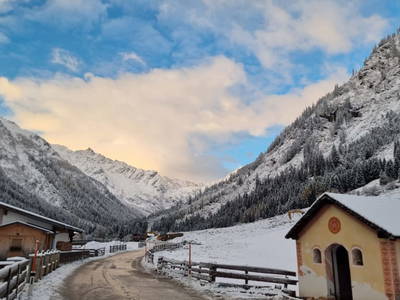 Bild 145 aus  Alfaierhof & Bergheimat