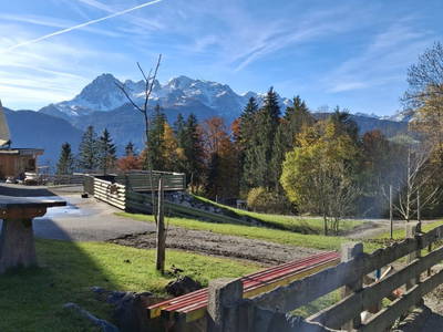 Bild 76 aus  Pferdehof Oberegg