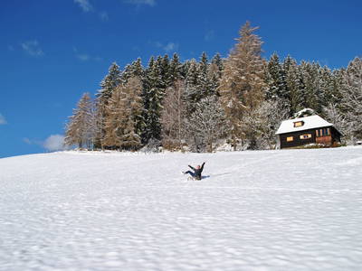 Bild 36 aus  Ferienhütte Alte Mühle