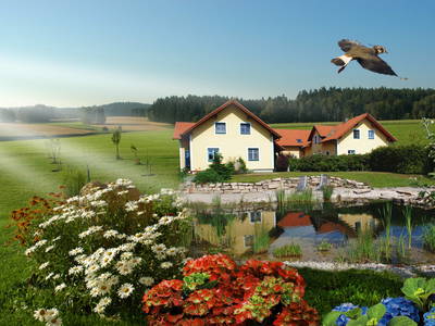 Bild 2 aus  Pension Kibitzhof