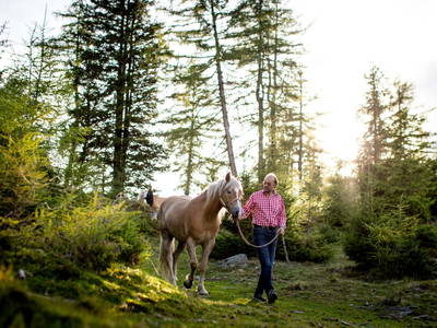 Bild 162 aus  Bischofhütten