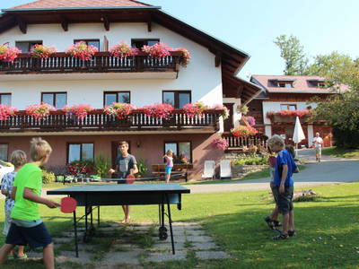 Bild 142 aus  Naturpark Bauernhof Sperl