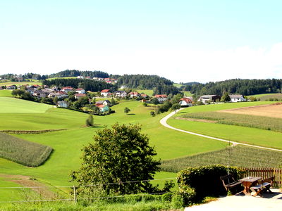 Bild 40 aus Biobauernhof Leitner Zizlbauer