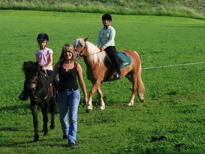 Bild 35 aus  Taxengut