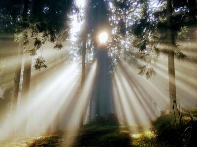 Bild 46 aus  Hochleben Chalets am Steinerhof in Kärnten