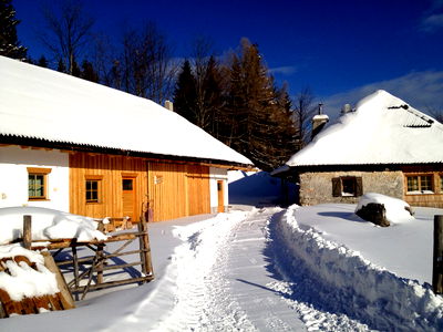 Bild 23 aus Obiralmhütte Meierhof