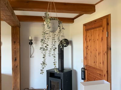 Bild 5 aus  Traumhafte Ferienwohnung am Wittenberghof