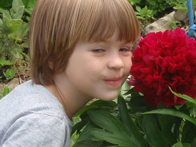 Bild 38 aus  Bräuhauser