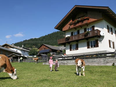 Bild 46 aus  Bauernhof Gruber - Bauernhaus
