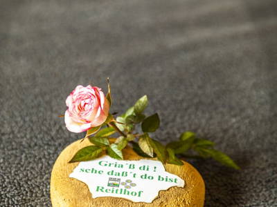 Bild 92 aus  Reitlhof am Sonnenhang   Bio-Bergbauernhof bei Salzburg 