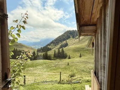 Bild 13 aus  Raineralm