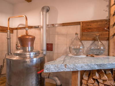 Bild 117 aus  Kinderbauernhof Albeineler Pitztal Tirol