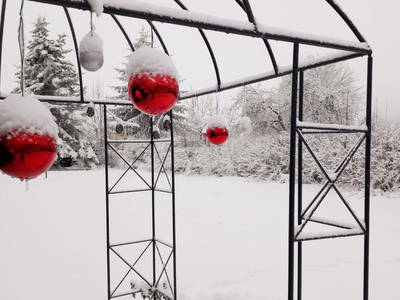 Bild 17 aus  Ferienhaus Ottenschlag