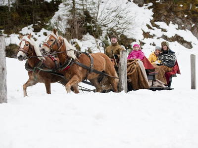 Bild 29 aus  Ferienhäuser Kuchelberg
