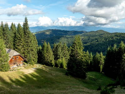 Bild 253 aus  Bischofhütten