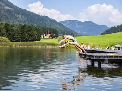 Bild 4 aus  Kuchlbauer