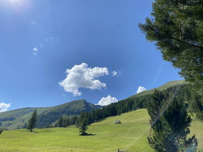 Almwiesen mit dem Poisnig im Hintergrund 