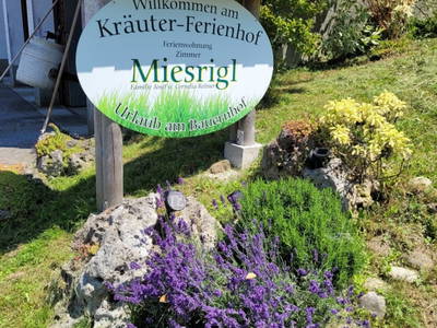 Bild 91 aus  Kräuterhof Miesrigl