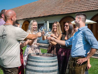 Bild 163 aus  Winzerhof Küssler, Weinviertel