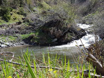 Bild 276 aus  Der Perweinhof