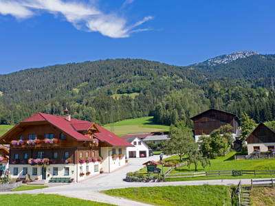 Bild 2 aus  Kainreiterhof