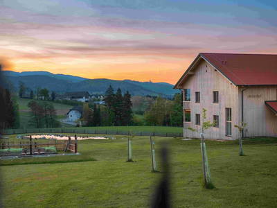 Bild 47 aus  Pircherhof - Adults Only am Biobauernhof