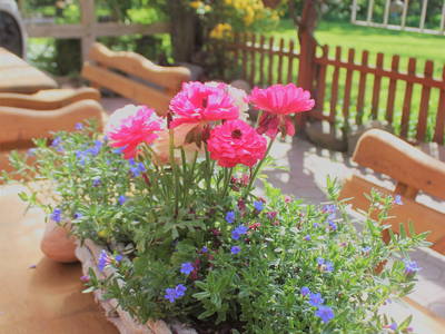 Bild 5 aus  Ferienhof Meetz