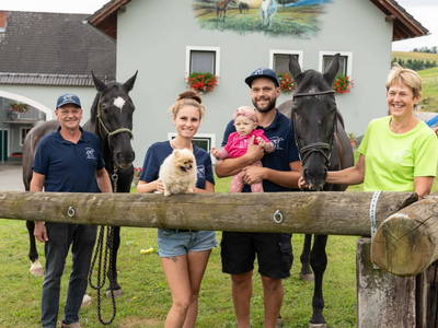 Bild 81 aus  Reiterhof Pfleger