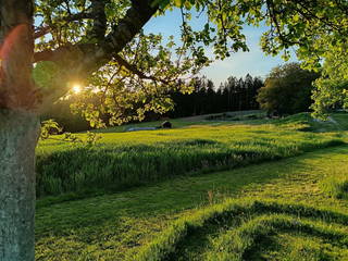 Natur Erlebnishof Aumayr aus Gutau