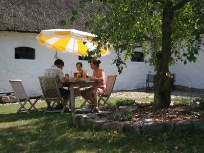 Bild 22 aus  Springbakgaard