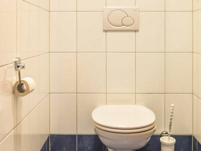 Bild 87 aus  Bio-Bauernhof Obertrattenbachhof