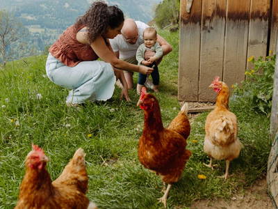 Bild 50 aus  Pirkerhof