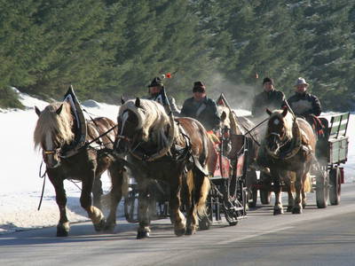 Bild 48 aus  Greithbauer Appartments