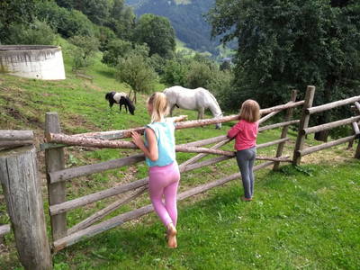 Bild 118 aus  Sank Haus - Alte Mühle