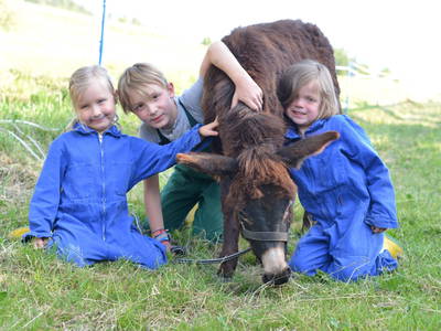 Bild 39 aus  Kinderbauernhof Ierzerhof Pitztal 