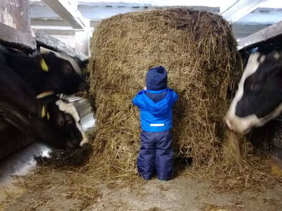 Bild 37 aus  Sank Haus - Alte Mühle