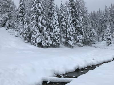 Bild 45 aus  TANAs Almhütte