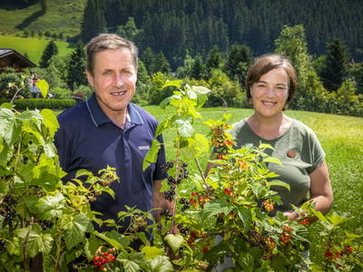 Bild 3 aus  Hinterhub