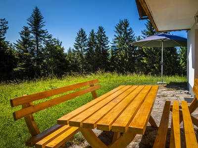 Bild 40 aus  Ebenhütte