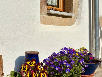 Bild 5 aus  Chalet Dürrfeld - Platz für gute Freunde