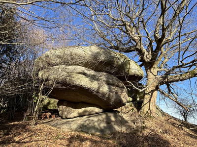 Bild 7 aus  Ferienwohnung Guttenberg